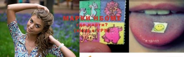 прущий лед Аркадак