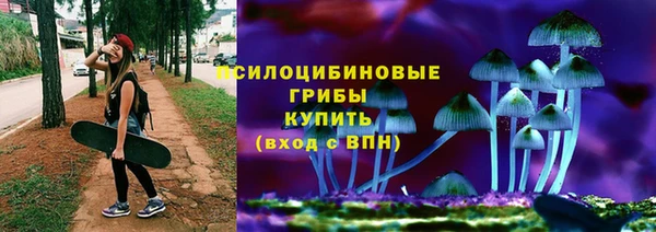 мяу мяу кристалл Арсеньев